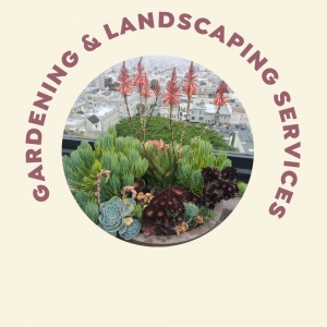 San Francisco Perez's SF Gardening Services