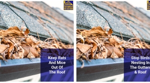 Photo of Segelman Shaw Roofing, Siding & Gutters