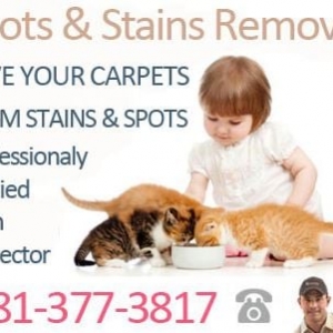 Photo of League City Carpet Cleaning