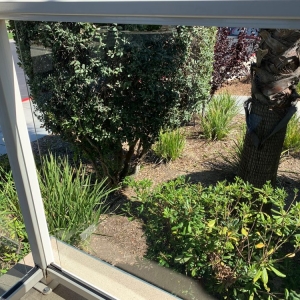 Photo of Channel Islands Pressure Washing