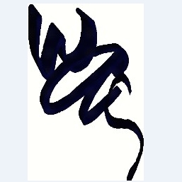 Photo of White Accounting Services