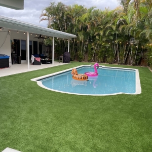 Photo of King Turf