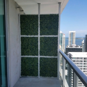 Photo of King Turf