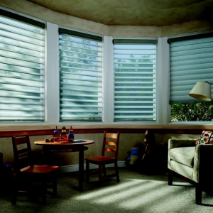 Photo of Blind Ambition Window Coverings