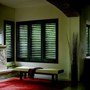 Photo of Blind Ambition Window Coverings