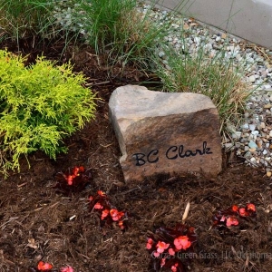 Photo of Garza's Green Grass