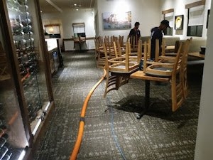 Photo of Complete Carpet Care Services