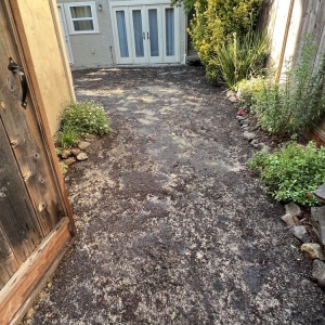 Photo of Landscaping The Economic