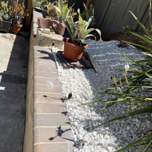 Photo of Landscaping The Economic