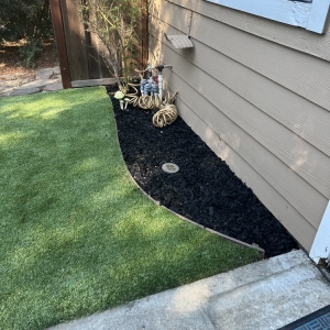 Photo of Landscaping The Economic