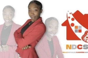 Photo of Nell'z Detailed Cleaning Service