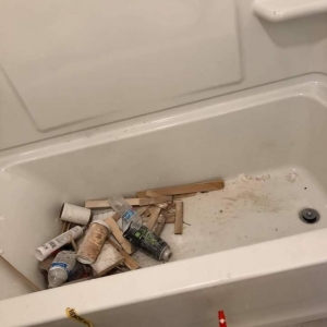 Photo of Nell'z Detailed Cleaning Service