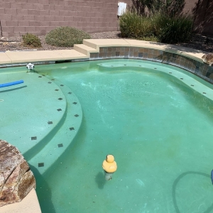 Photo of Silver State Pool Service