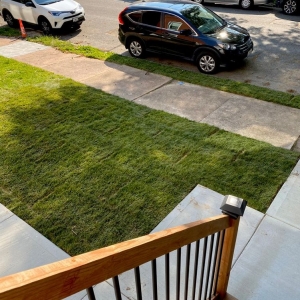 Photo of Quality Control Outdoor Services