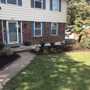 Photo of Quality Control Outdoor Services