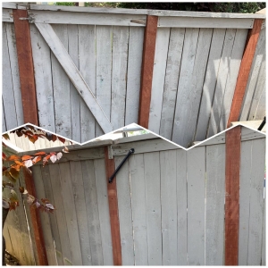 Photo of Winchester Handyman