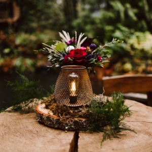 Photo of Kita Events Northwest