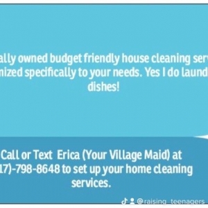 Photo of The Village Maid LLC