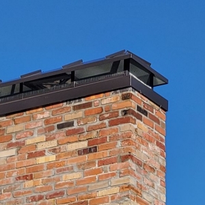 Photo of Chimney and Wildlife Specialists