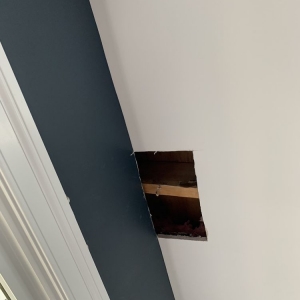 Photo of South Florida Mold Specialist