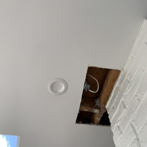 Photo of South Florida Mold Specialist