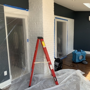 Photo of South Florida Mold Specialist