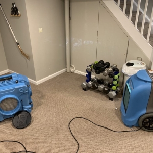 Photo of South Florida Mold Specialist