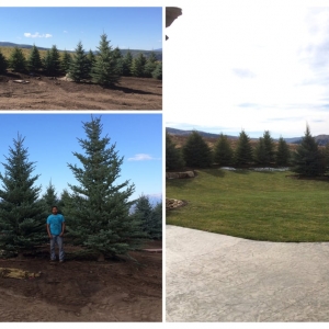 Photo of Cherry Brothers Landscape