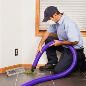 Photo of Victory Cleaning