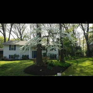 Photo of America's True Landscaping & Pressure Washing