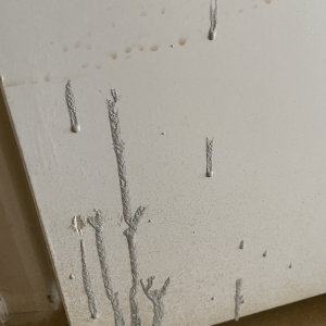Photo of Stain Tech