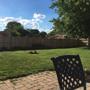 Photo of South Jersey Fence