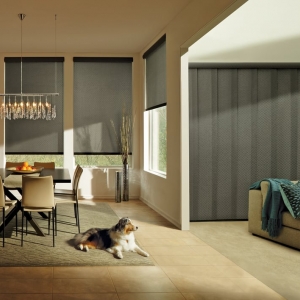 Photo of The Decorating Dog