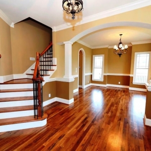 Photo of Show Me Clean Cleaning Services
