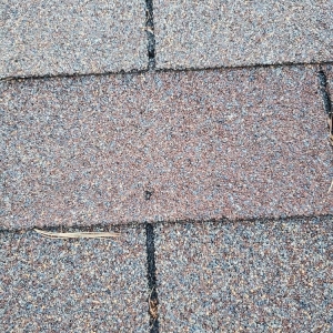 Photo of EZ Home Solutions