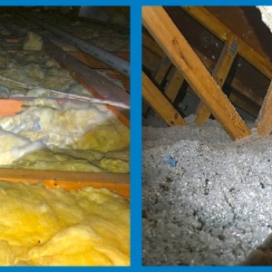 Photo of Cowleys Pest Services