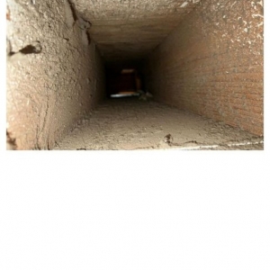 Photo of One Speed Services