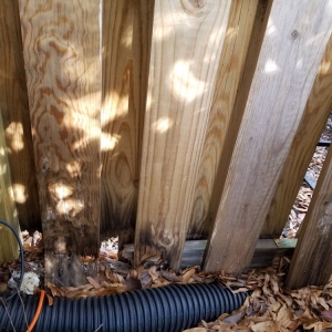 Photo of Carter Fence