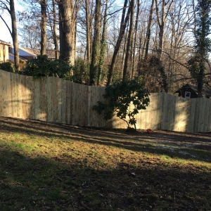 Photo of Carter Fence
