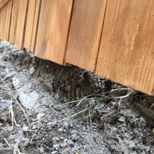 Photo of Outback Fencing