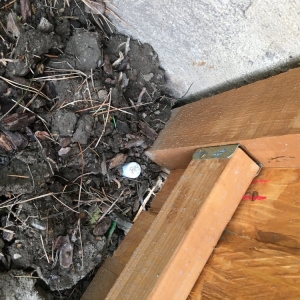 Photo of Outback Fencing