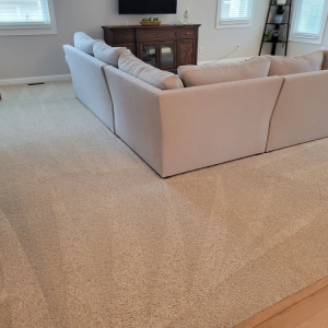 Photo of Technicare Carpet Cleaning