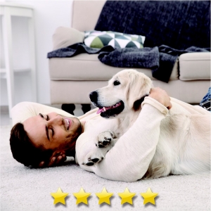 Photo of Technicare Carpet Cleaning