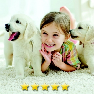 Photo of Technicare Carpet Cleaning