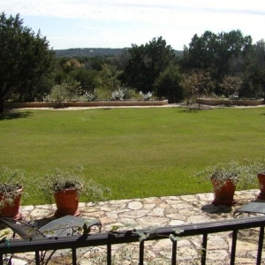 Photo of A Touch O' Green Landscapes