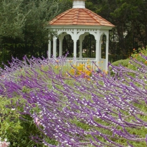 Photo of A Touch O' Green Landscapes