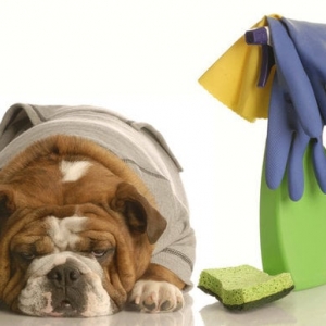Photo of Tiffany's Concierge & Cleaning