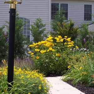 Photo of Quinn's Landscaping & Lawn Service