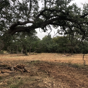 Photo of R & M Land Clearing, Demolition and Excavation