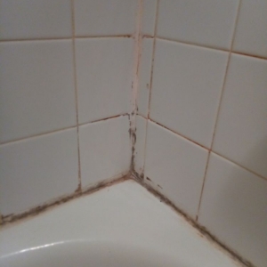 Photo of The Groutsmith